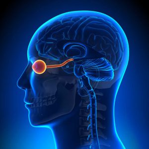 Phacoemulsification Cataract Surgery