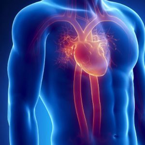 Cardiac Operations — Coronary artery bypass graft (CABG)
