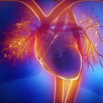 دراسة كهربائية القلب وكي بؤر التوتر بواسطة جهاز ثلاثي الأبعاد