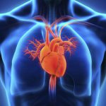 Cardiac Operations — Minimally invasive mitral valve repair surgery