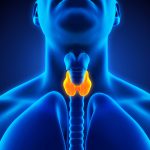 Thyroidectomy