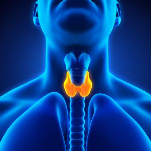 Thyroidectomy