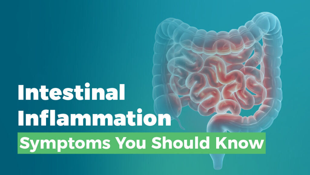 Intestinal Inflammation: Symptoms, Causes, Diagnosis, and Treatment